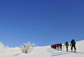  与家人、朋友或同事一起越野滑雪 